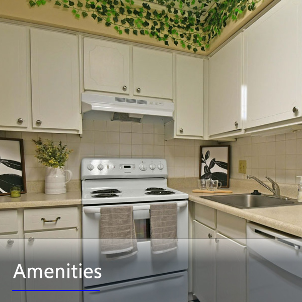 Features and Amenities